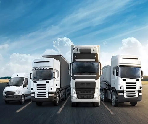 LOGISTICA